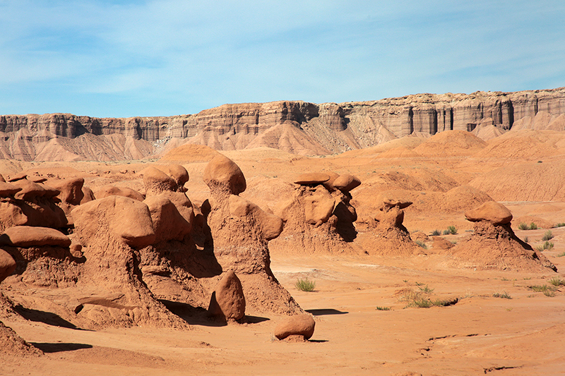 Bison : Antelope Island : Utah : Landscape Photos : Richard Moore : Photographer